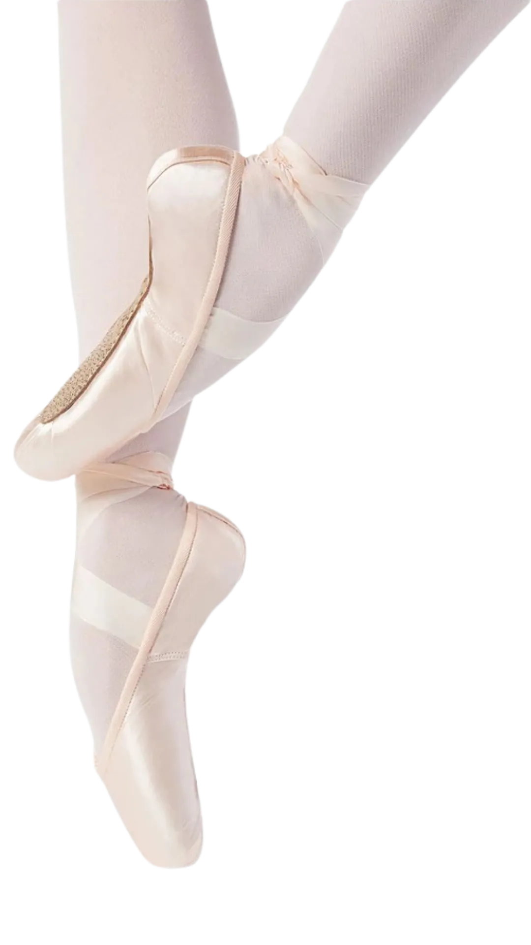 Verve Pointe Shoe - Soft Shank