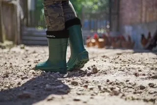 Womens Montana Ultralight Boots Green